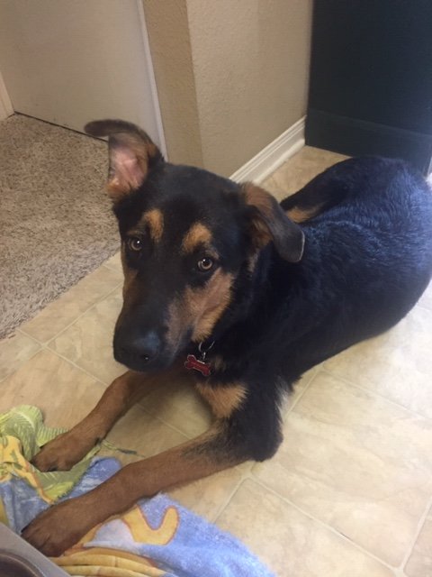 jaxx2.JPG