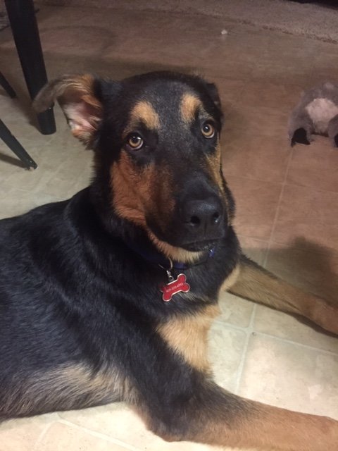 jaxx3.JPG