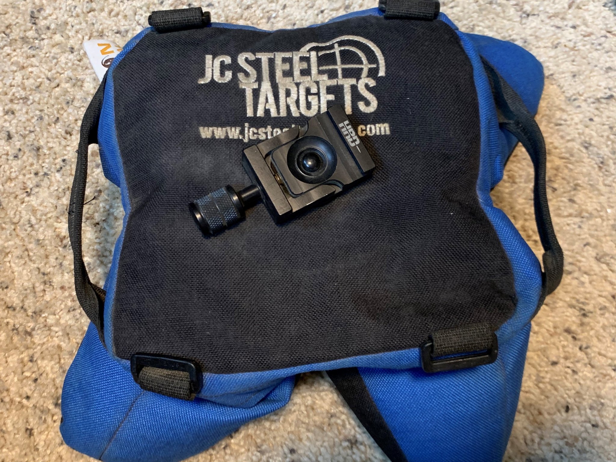 JC bison.jpg