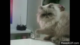 JDfKH9.gif