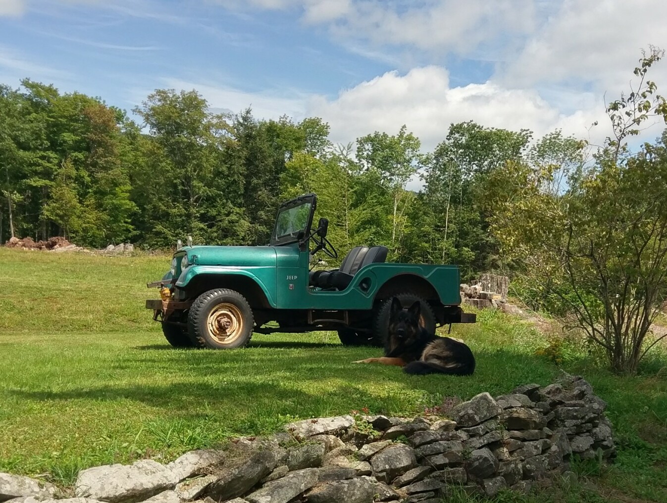 Jeep.jpg