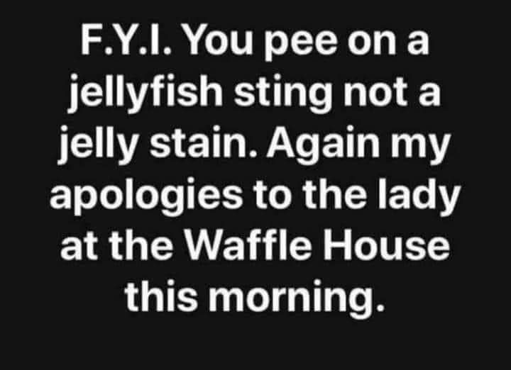 jellyfish.jpg