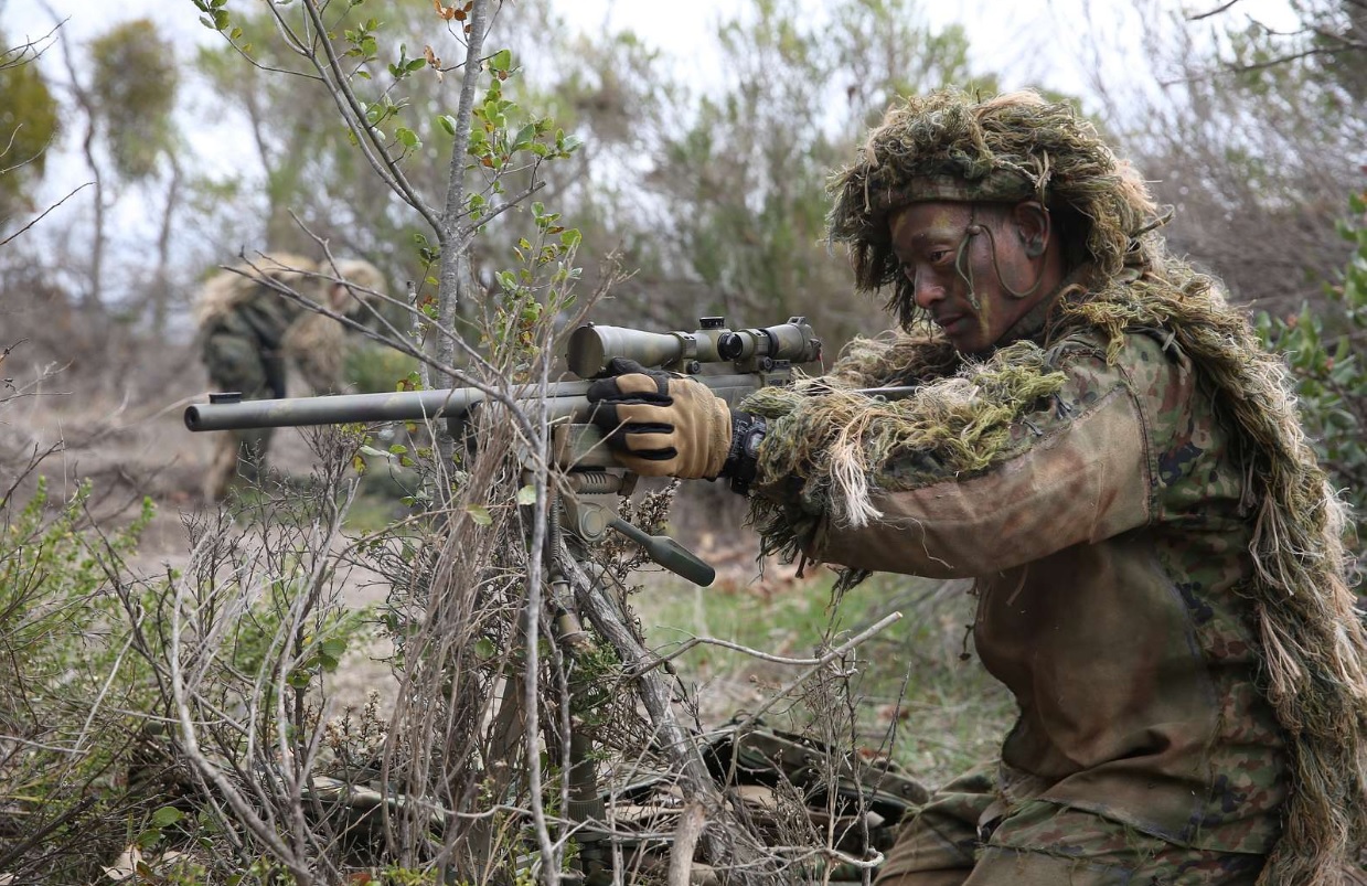 jgsdf m24 4.jpg