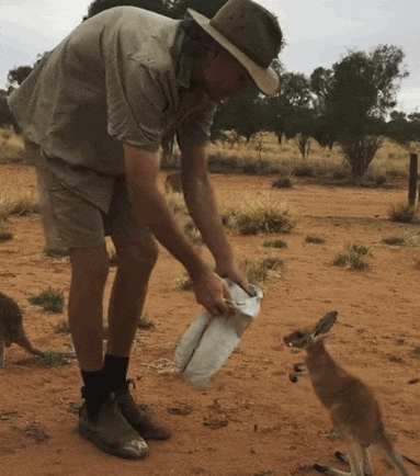 joey.gif