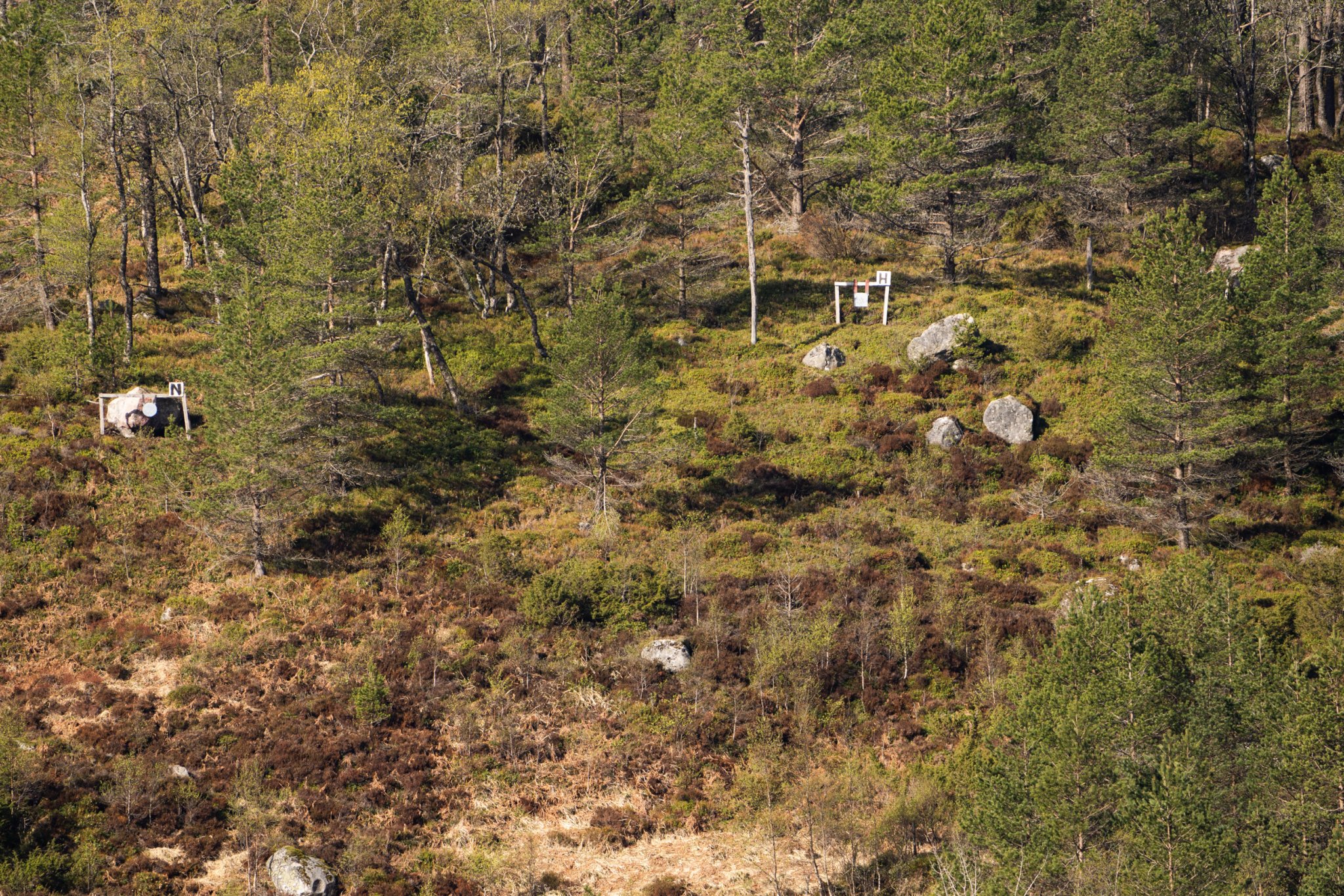 JosefineJonsson_VikingTrailPRS_2022_092.JPG