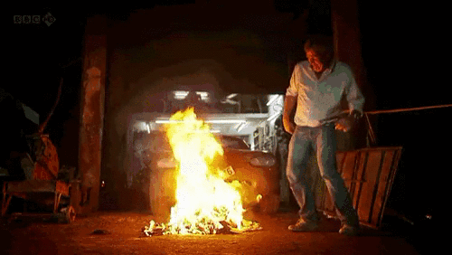JoyousAchingBoto-size_restricted.gif