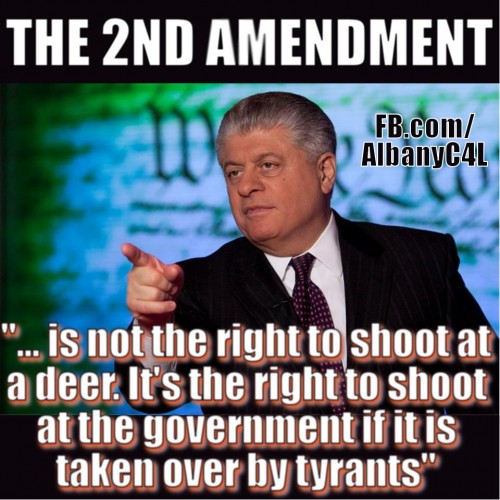 JudgeNapolitano_2ndAmendment-500x500.jpg