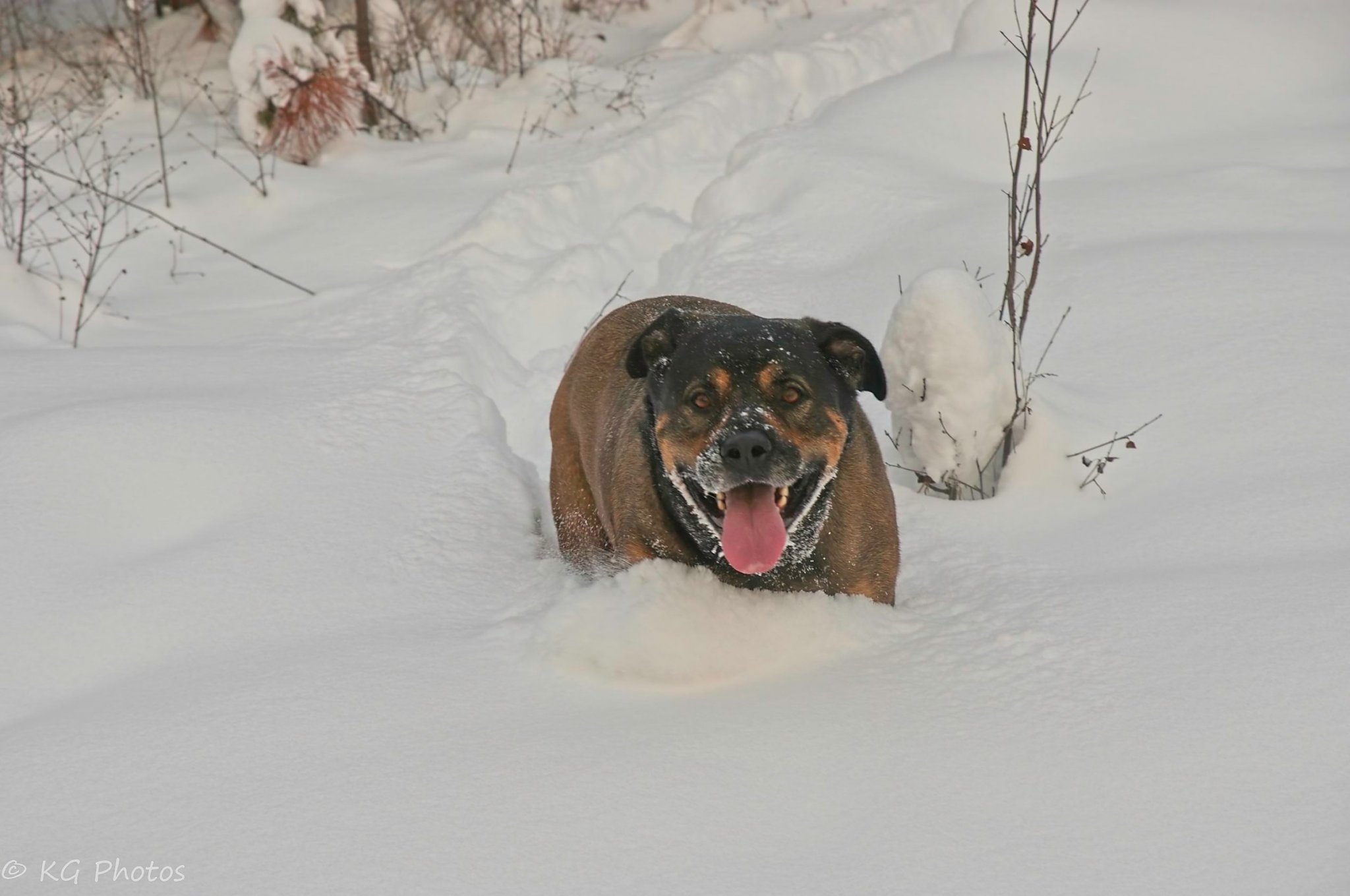 K3__1567 2400 pixels.jpg