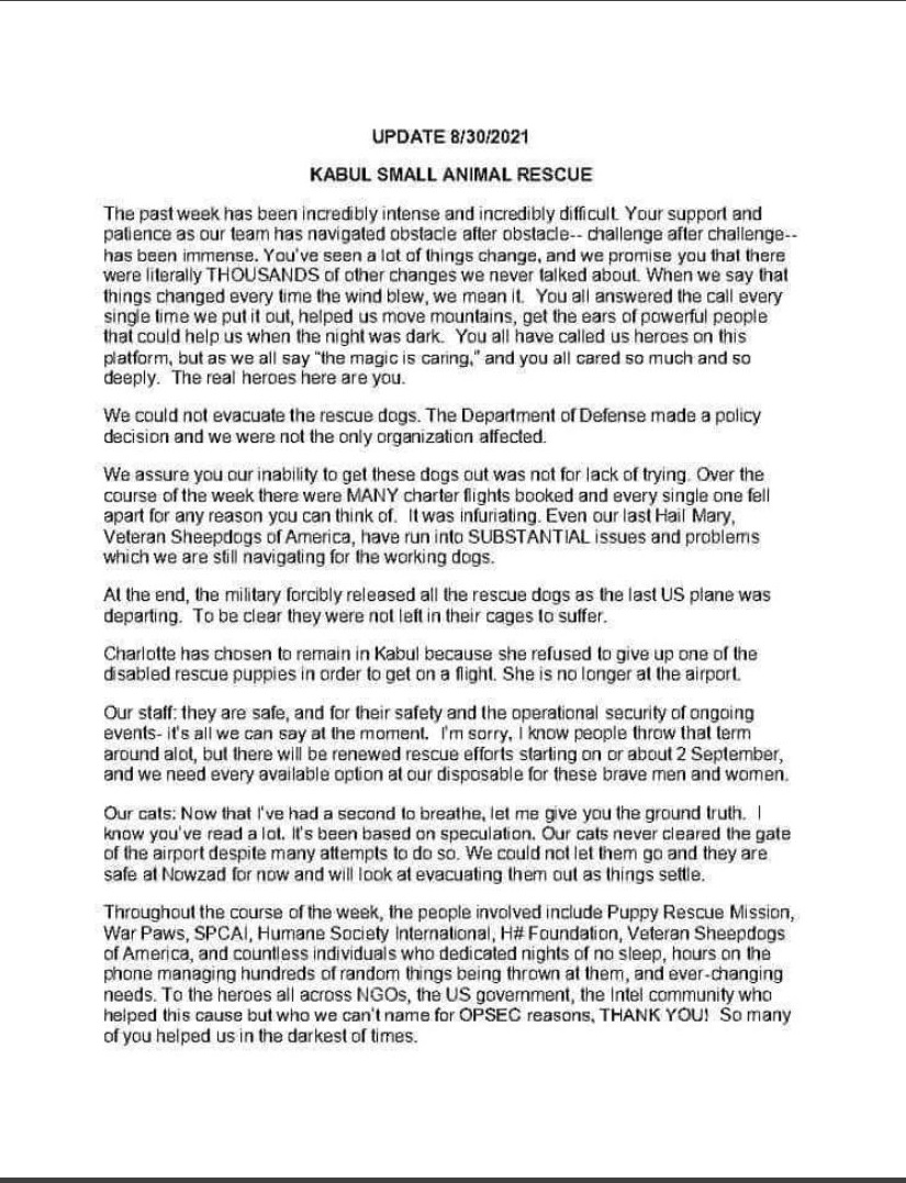 Kabul Small Animal Rescue Update.jpg