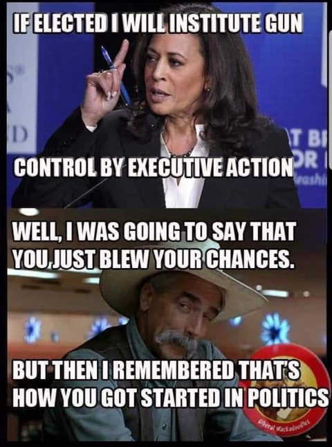 kamala-harris-gun-confiscation-say-just-blew-chances-but-then-remember-how-you-got-started-in-...jpg
