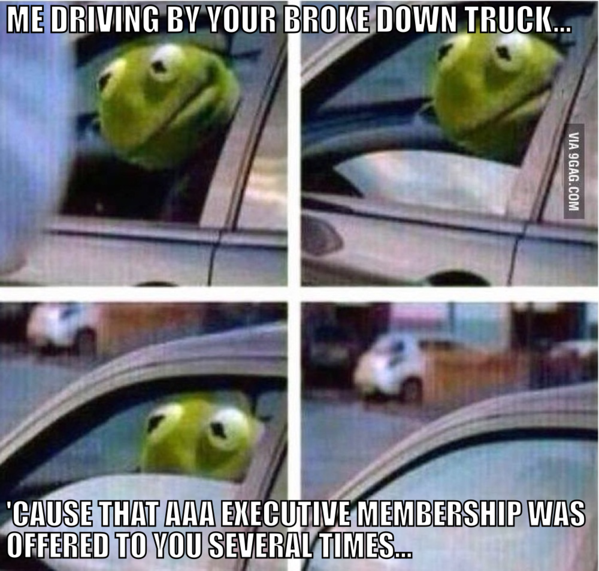 kermit AAA .png
