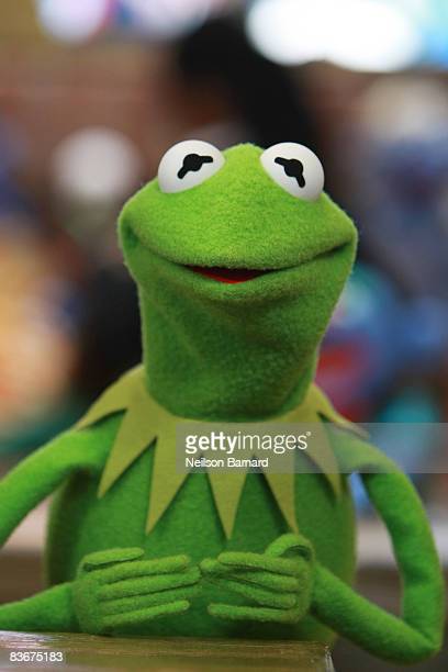 Kermit2.jpg
