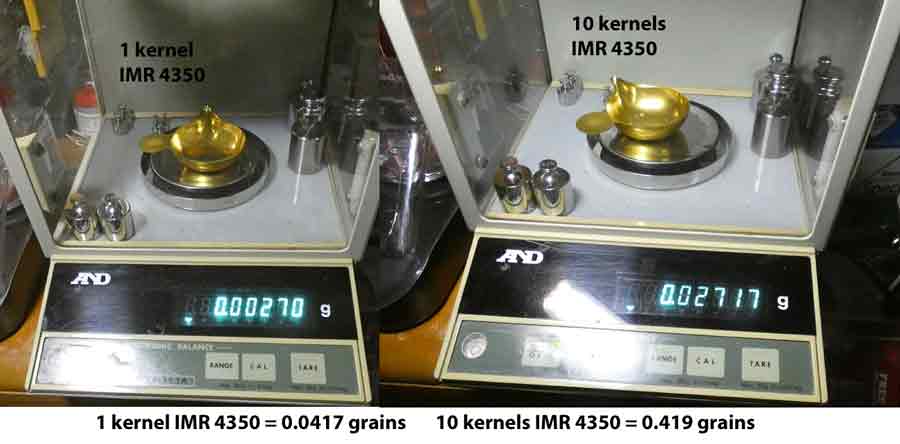 kernels-of-IMR-4350.jpg