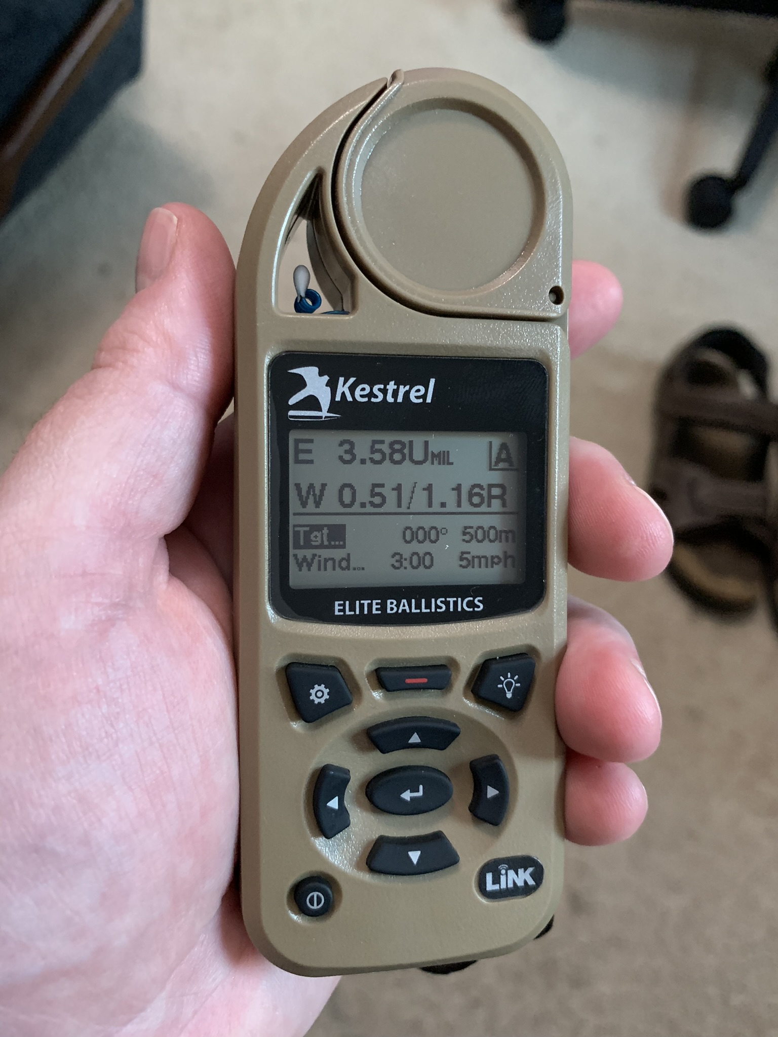Kestrel.jpeg