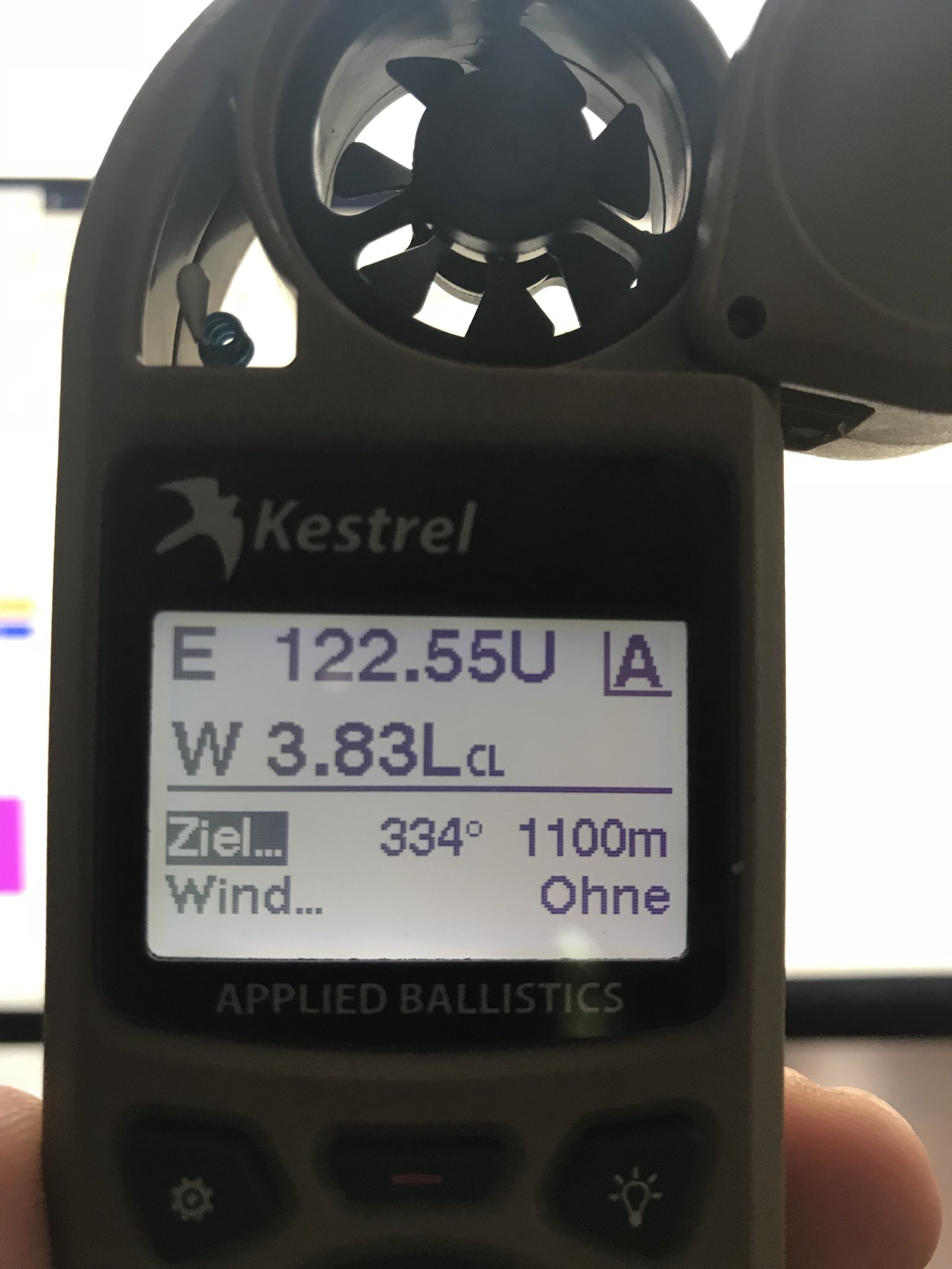 Kestrel.JPG