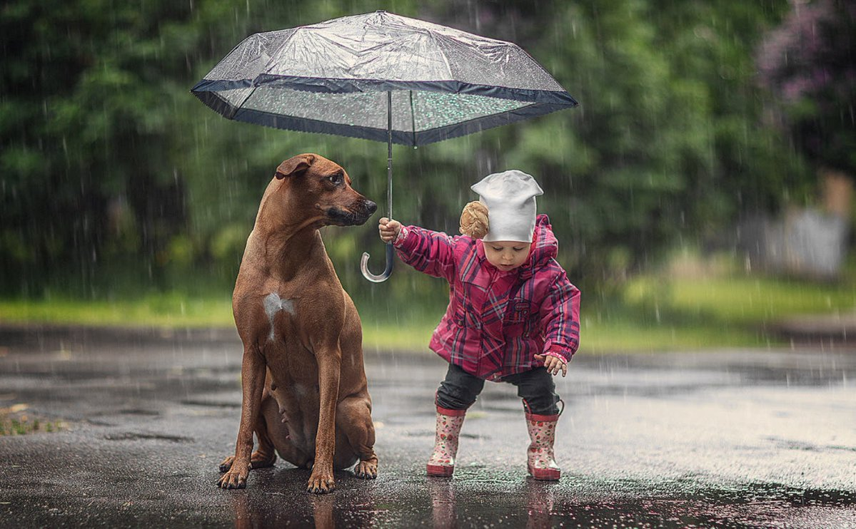 kid rain.png