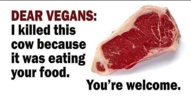 Killed-cow-for-Vegans.jpeg