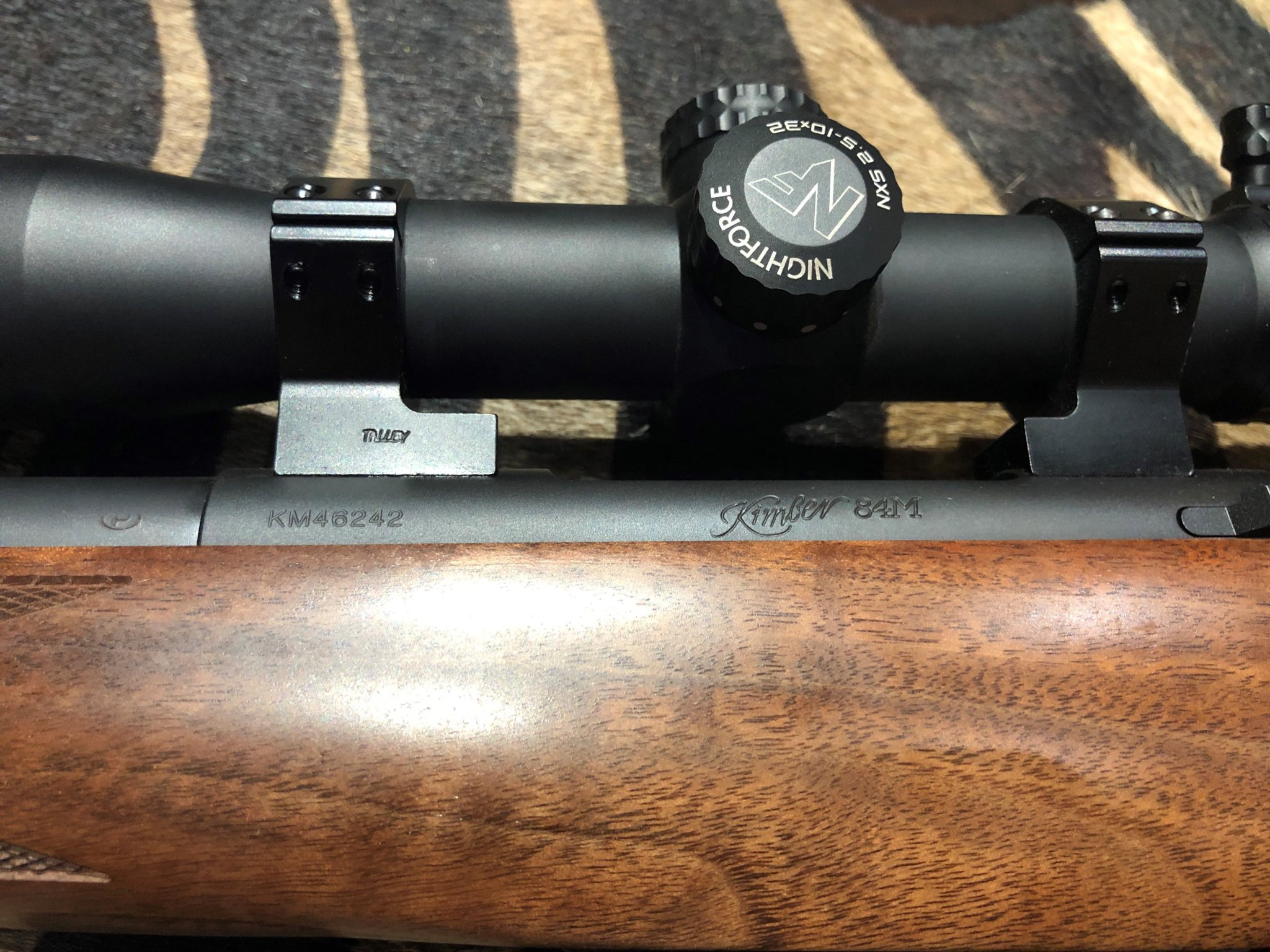 Kimber3.jpg