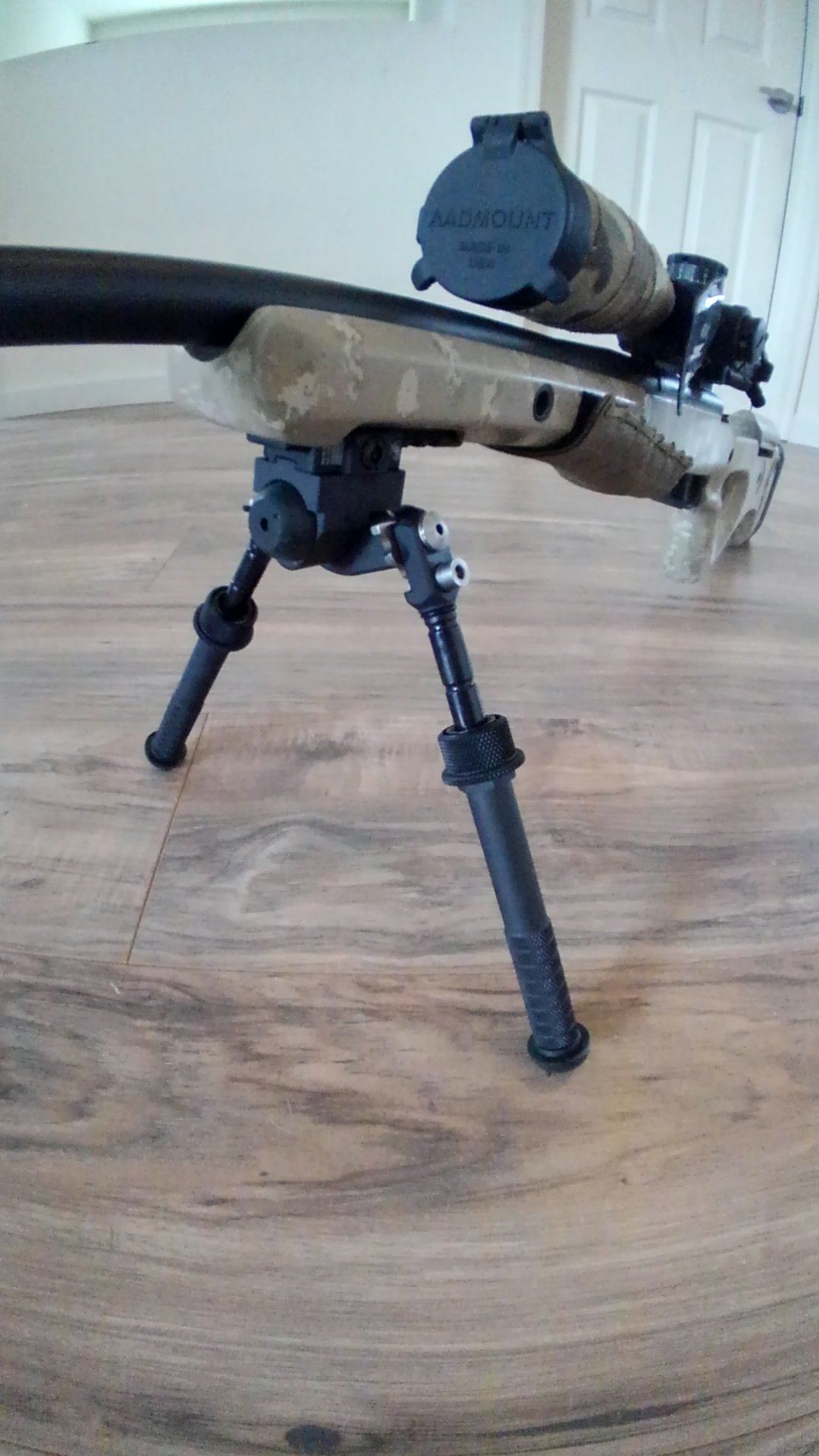 KIMG0299.JPG