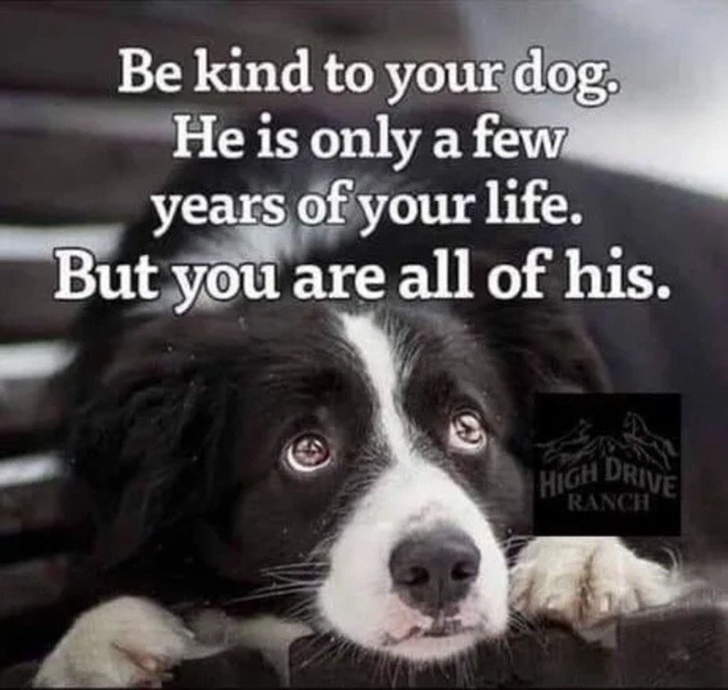 kind.jpg