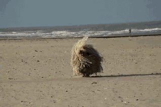 knMT7py.gif