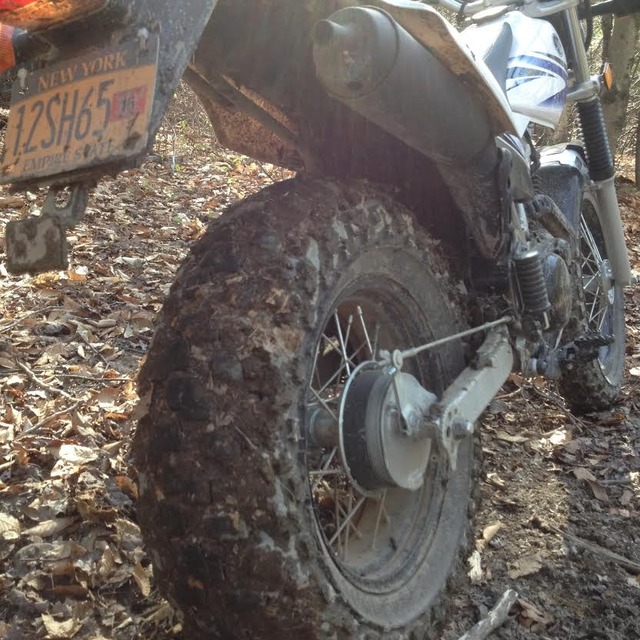 knobby with mud.jpg