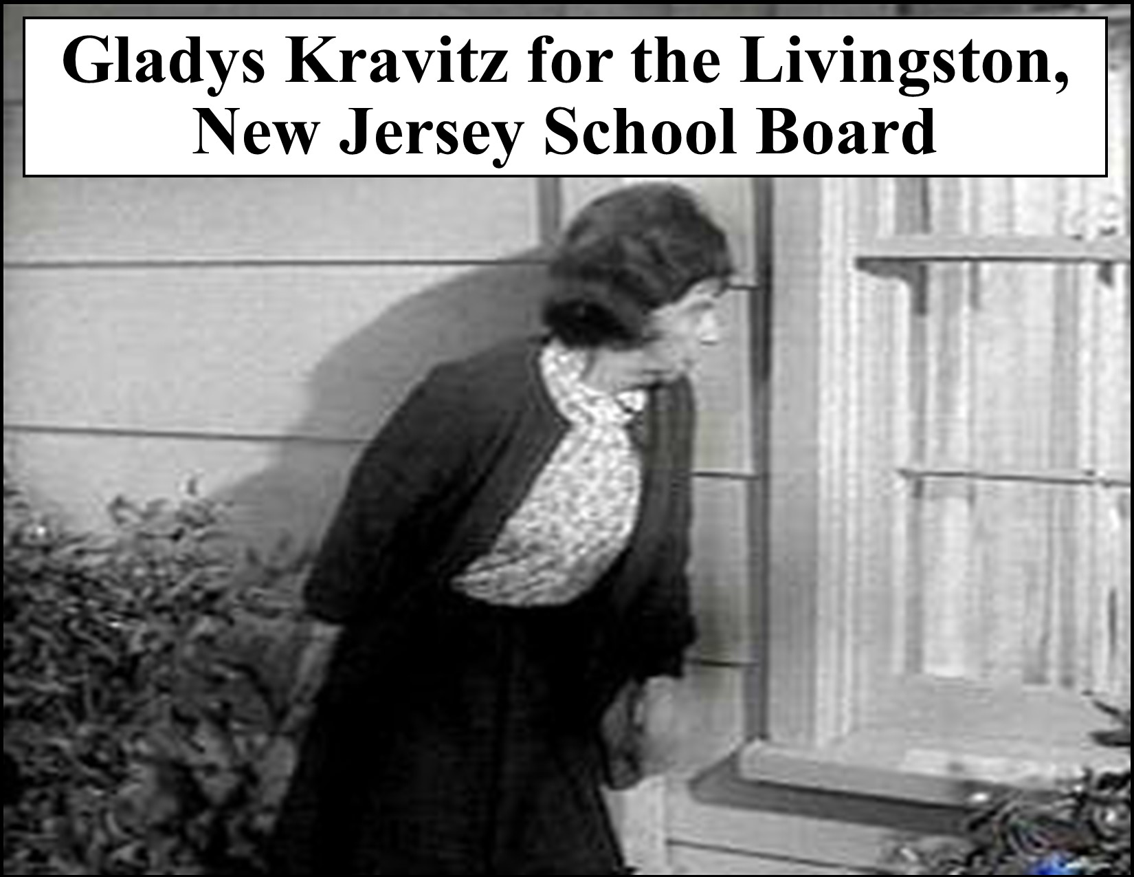 Kravitz for School Board.jpg
