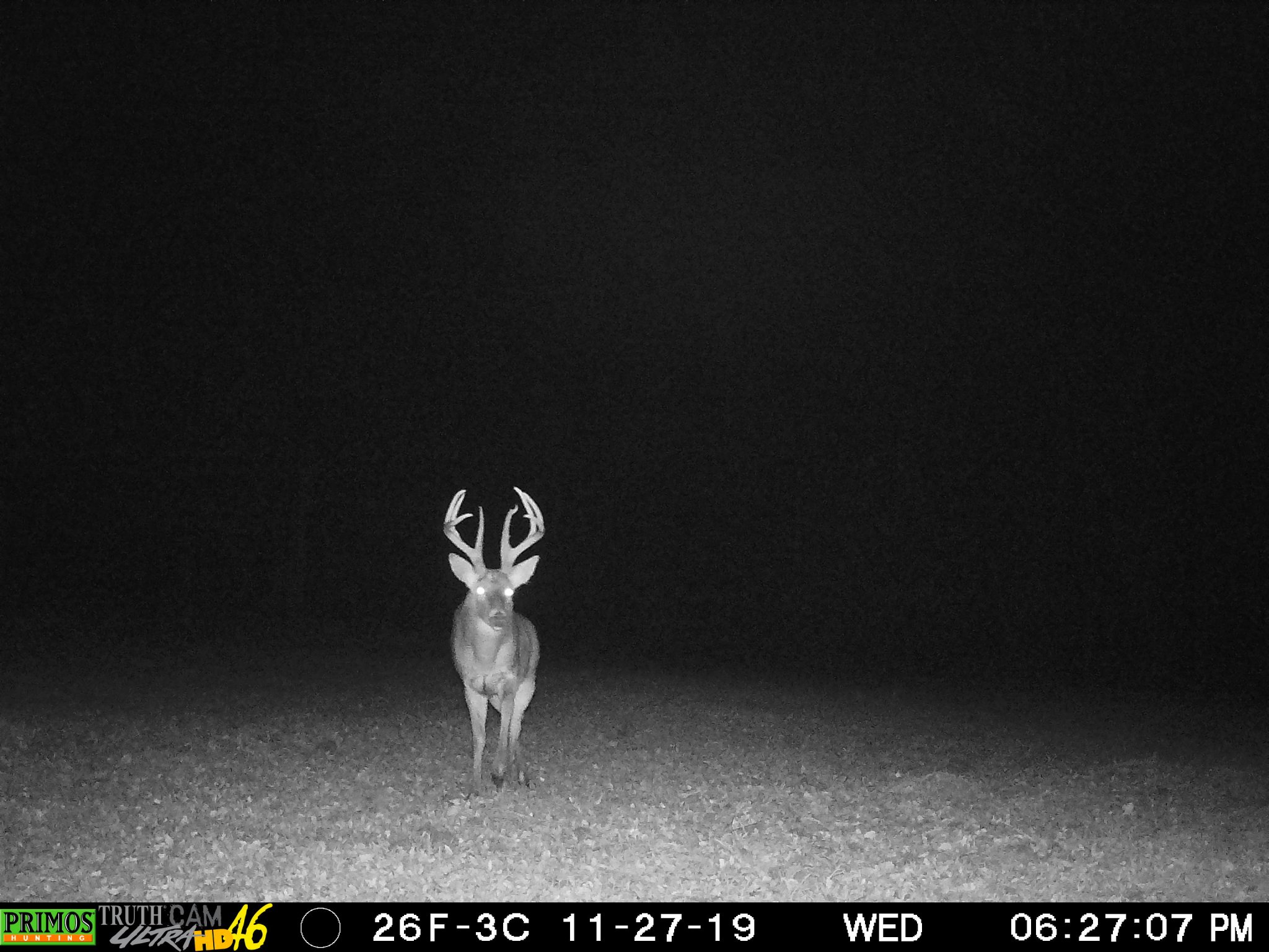 K's Wanna Buck 2019.jpeg