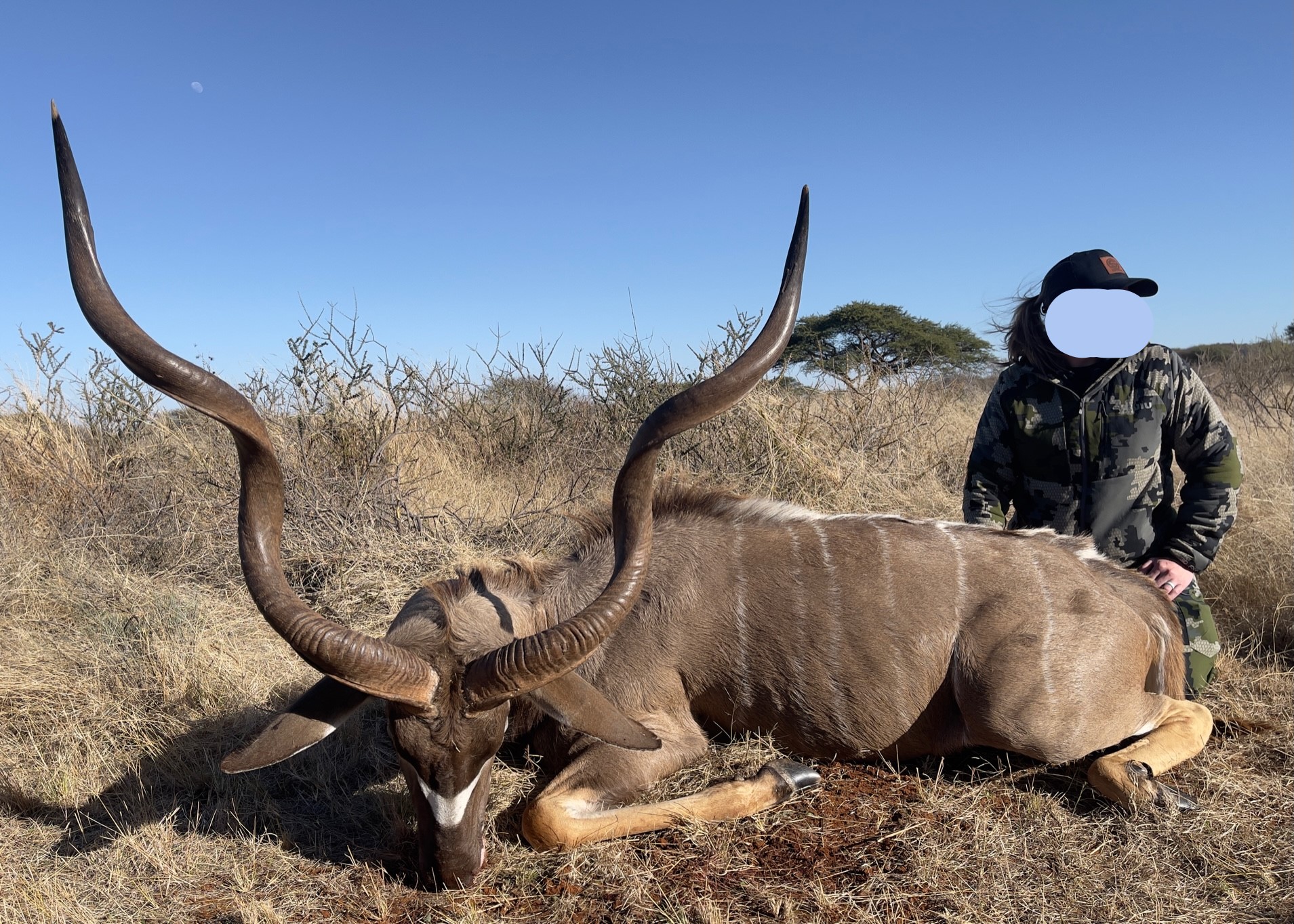 KUDU-A.jpg