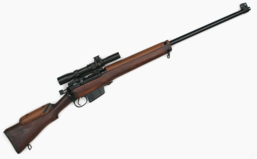 L42a1.JPG