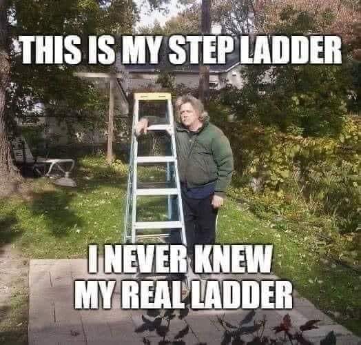 ladder.jpg