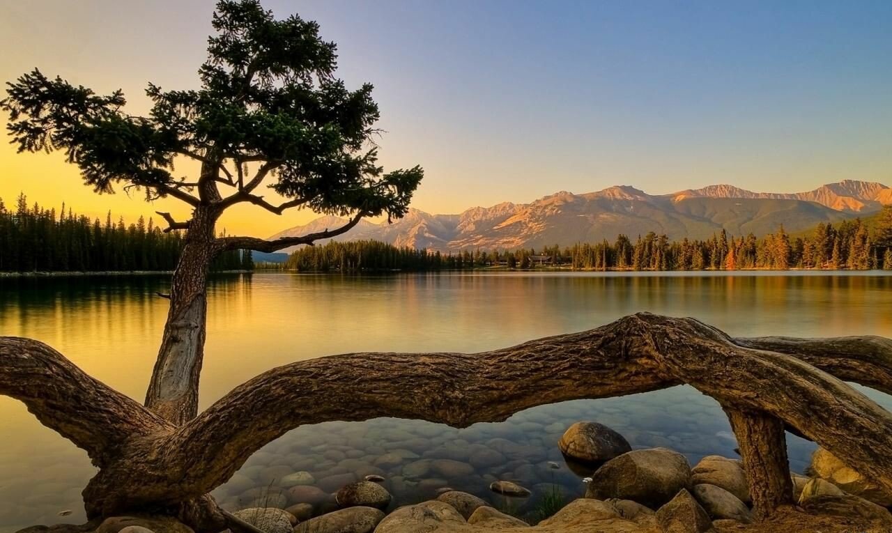 lake.jpeg