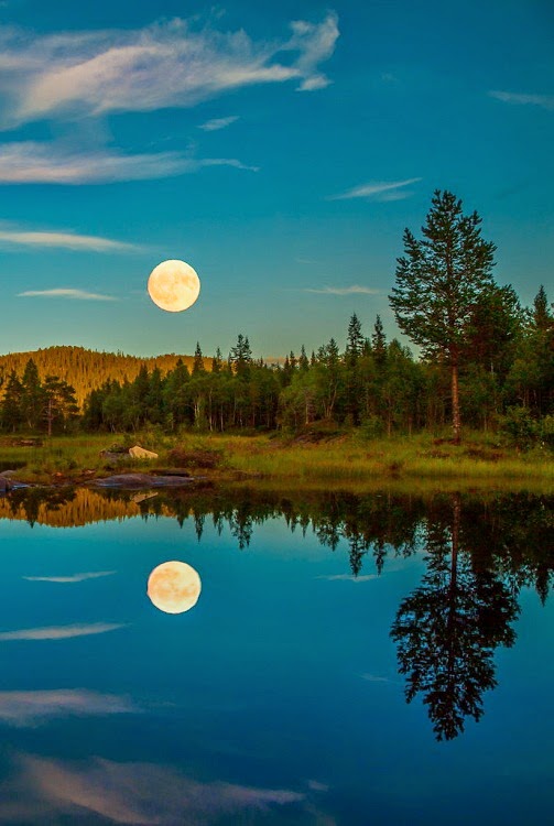 lake reflect.jpg