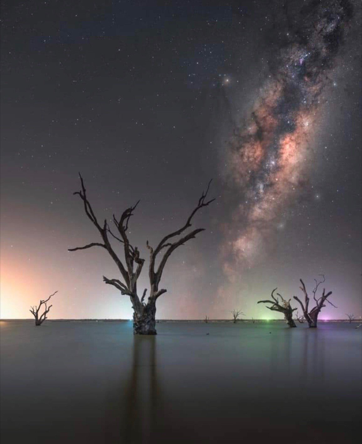 lake stars.jpeg
