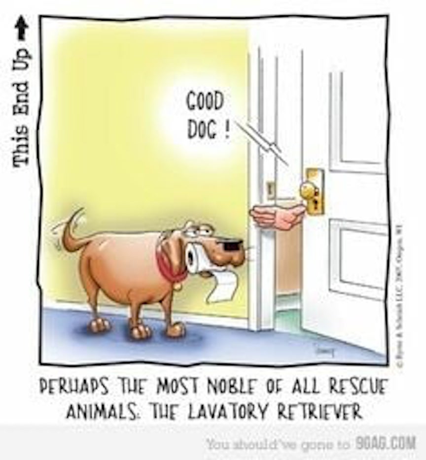 lavatory retriever.jpeg