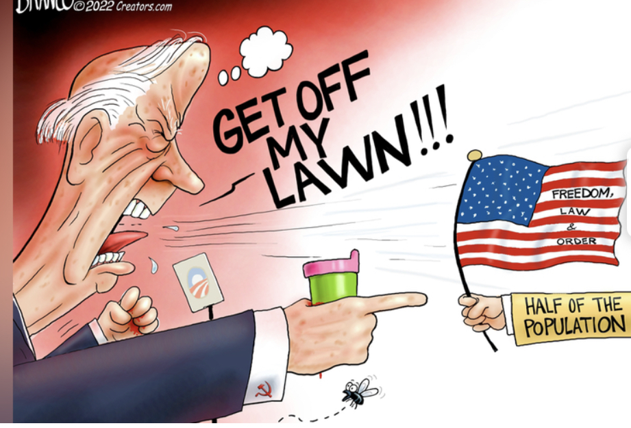 lawn.jpg