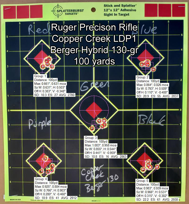 LDP 1 Berger Target Groups.jpg
