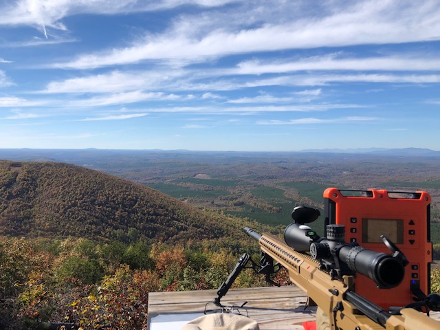 LEAF PEEPING.jpg