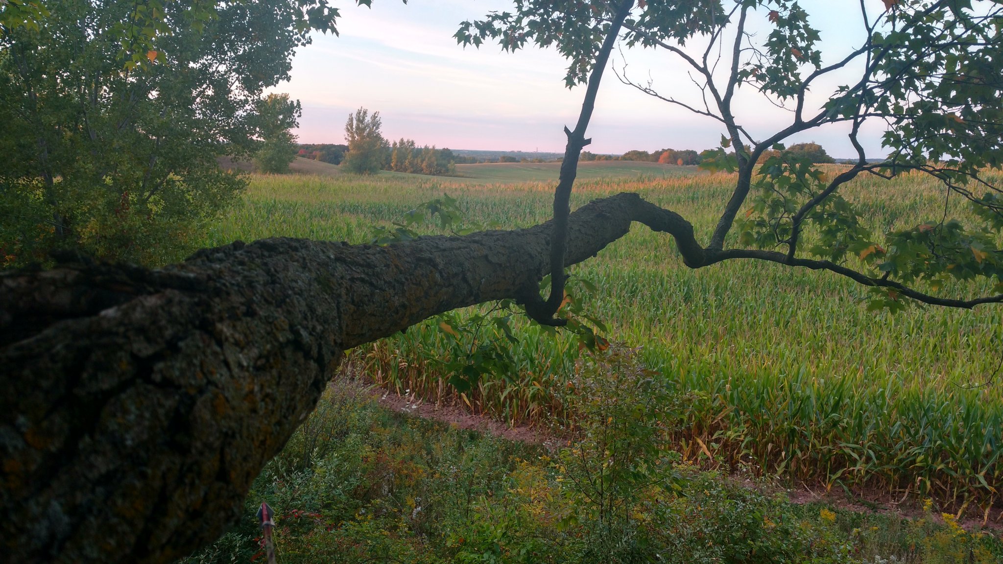 Ledgeview Hunting Spot 1.jpg
