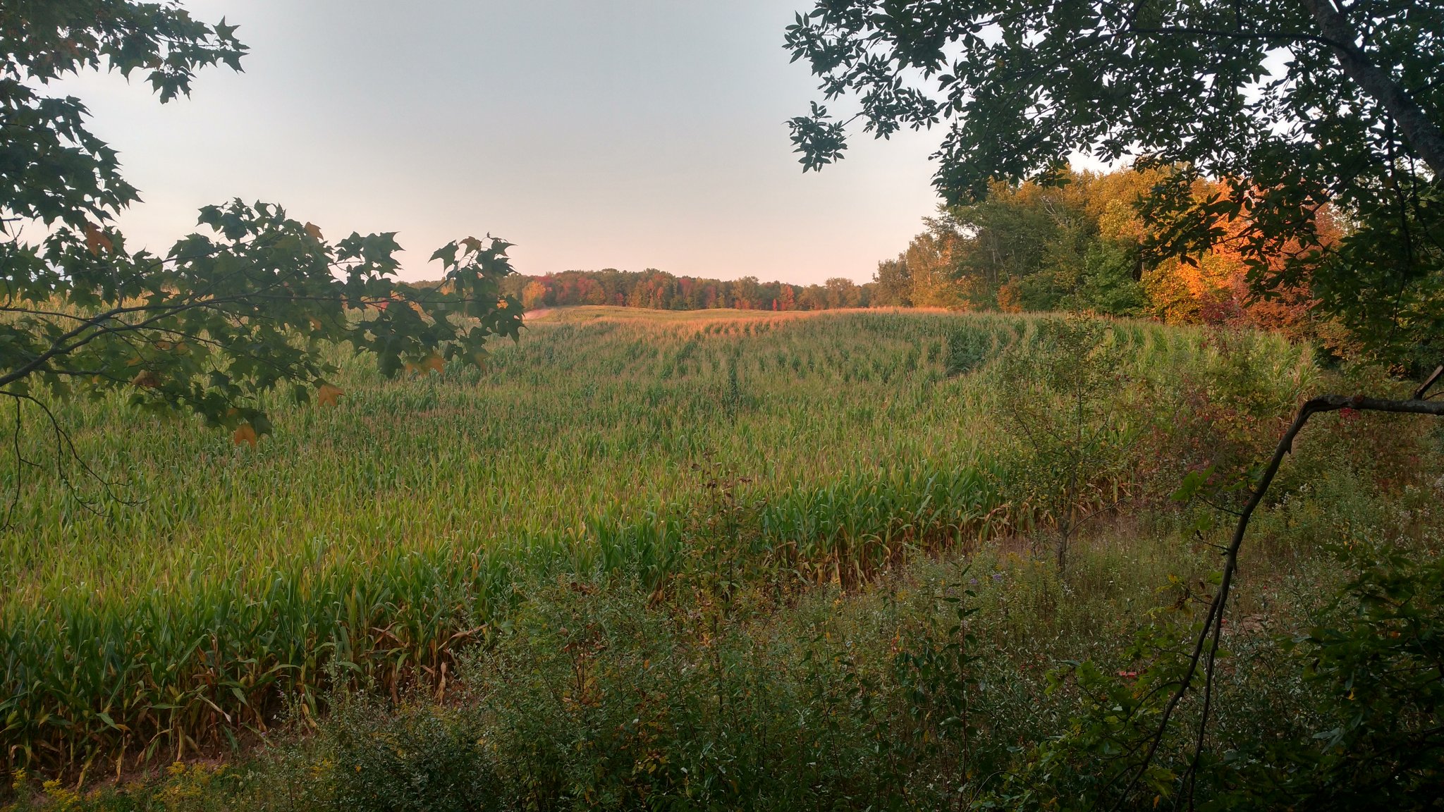 Ledgeview Hunting Spot 2.jpg