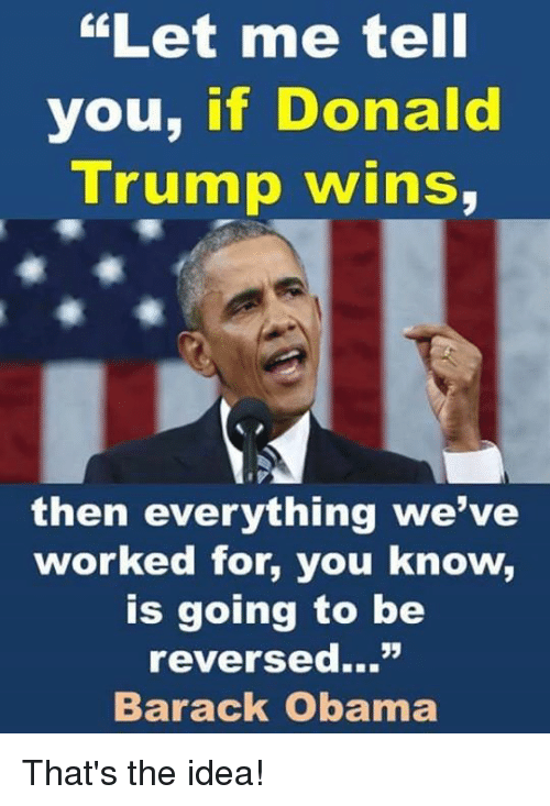 let-me-tell-you-if-donald-trump-wins-then-everything-5672909.png