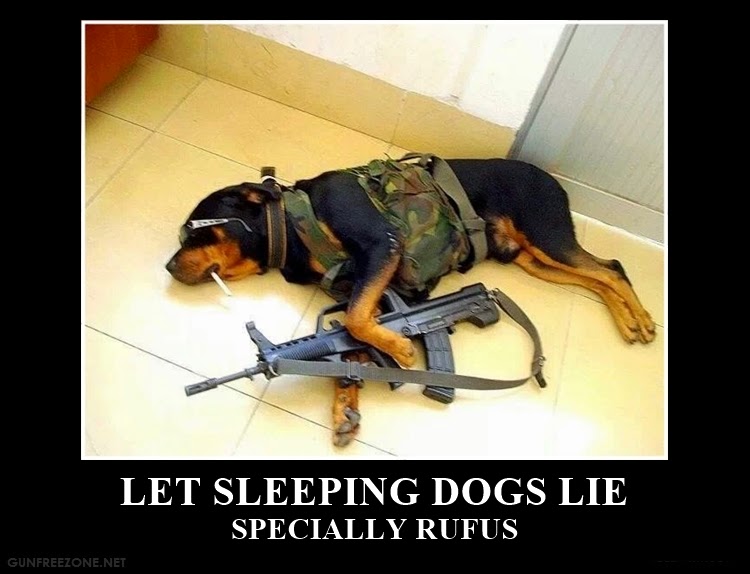 LET-SLEEPING-DOGS-LIE.jpeg