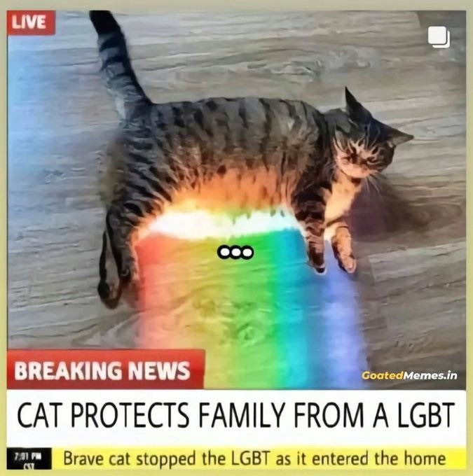 LGBT.jpg