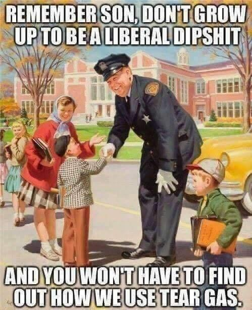 lib.png