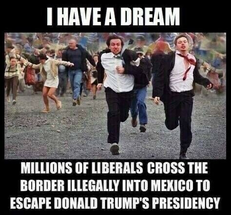 liberals-border-meme.jpg