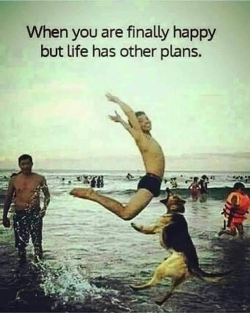 life has other plans.jpg