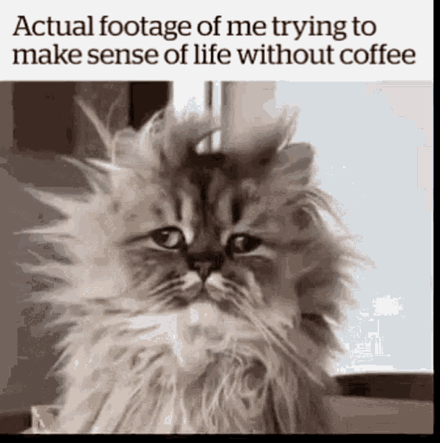 life-without-coffee-good-morning-beautiful-people.gif