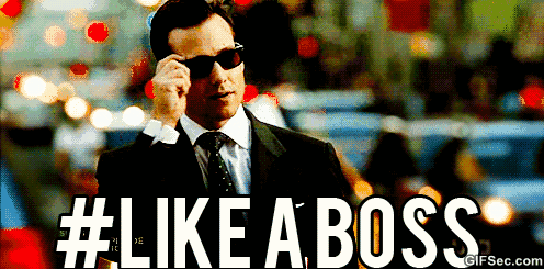 like-a-boss-gifs.gif