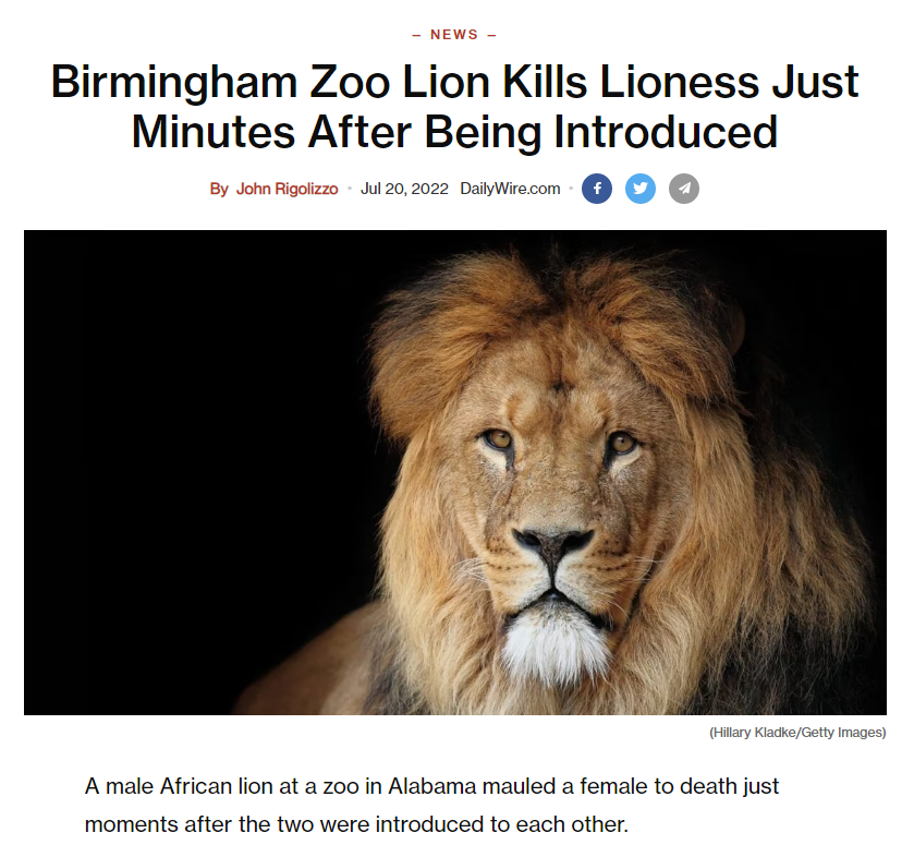 LionCunt.png