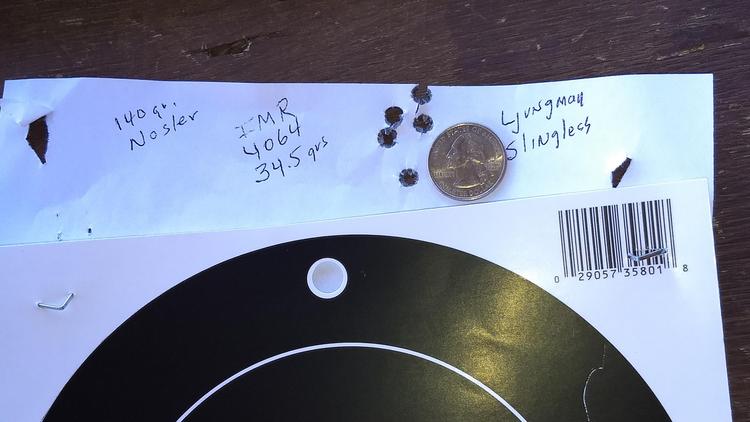 ljungman target.jpg